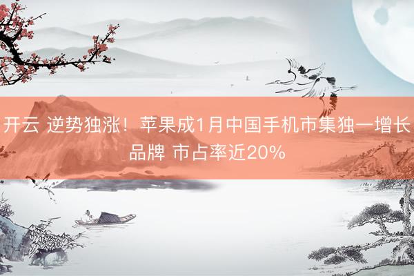 开云 逆势独涨!苹果成1月中国手机市集独一增长品牌 市占率近20%