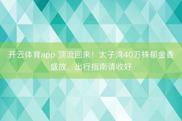 开云体育app 顶流回来！太子湾40万株郁金香盛放，出行指南请收好