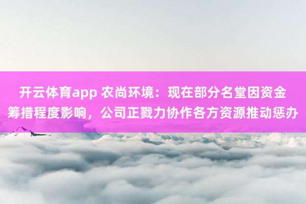 开云体育app 农尚环境：现在部分名堂因资金筹措程度影响，公司正戮力协作各方资源推动惩办