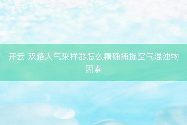 开云 双路大气采样器怎么精确捕捉空气混浊物因素