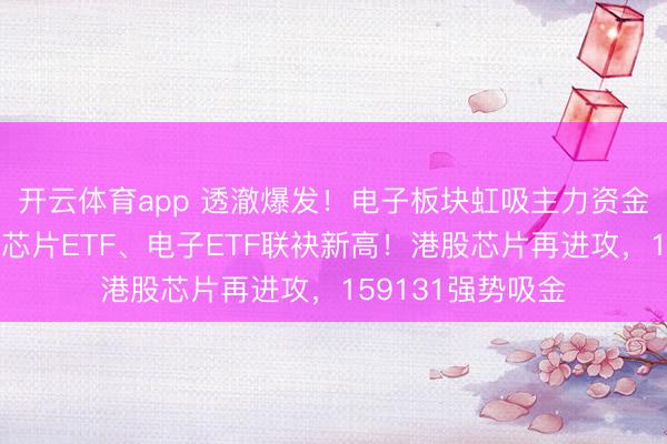 开云体育app 透澈爆发！电子板块虹吸主力资金，华宝基金科创芯片ETF、电子ETF联袂新高！港股芯片再进攻，159131强势吸金