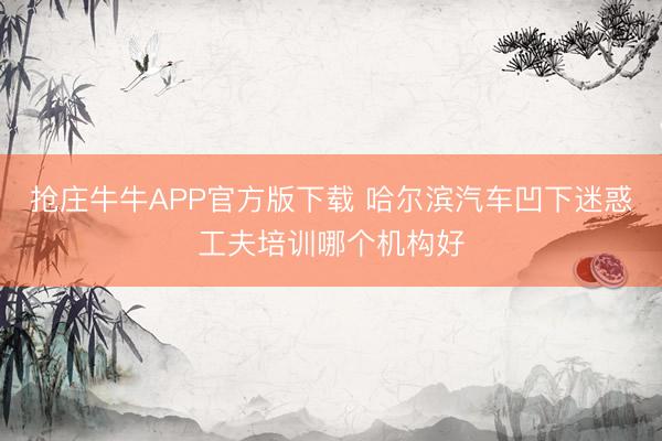 抢庄牛牛APP官方版下载 哈尔滨汽车凹下迷惑工夫培训哪个机构好