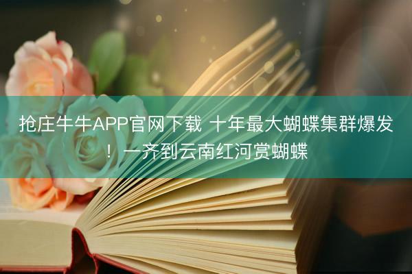 抢庄牛牛APP官网下载 十年最大蝴蝶集群爆发！一齐到云南红河赏蝴蝶