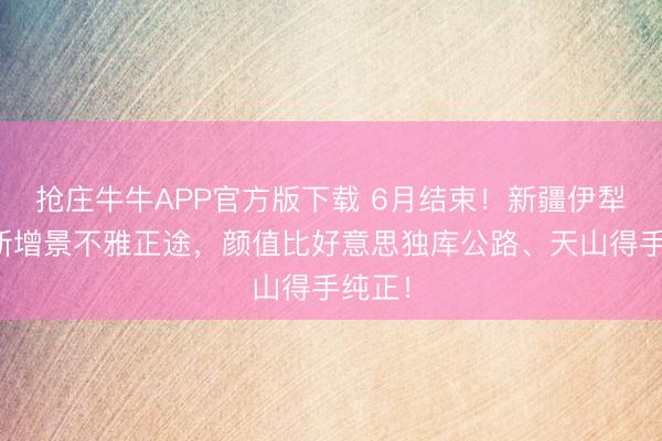 抢庄牛牛APP官方版下载 6月结束！新疆伊犁天山新增景不雅正途，颜值比好意思独库公路、天山得手纯正！