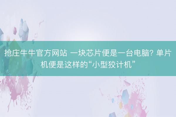 抢庄牛牛官方网站 一块芯片便是一台电脑? 单片机便是这样的“小型狡计机”